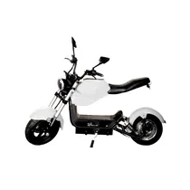 Moto Eletrica Iz Y21-60V/12AH-2000W-White