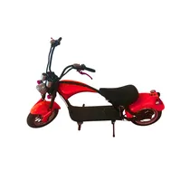 Moto Eletrica Iz Y4 60V/12AH-1500W Red