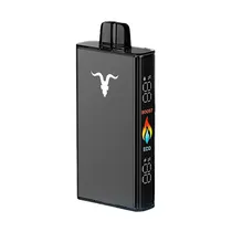 Ignite V250 Black Peach Mango 25.000 Puffs