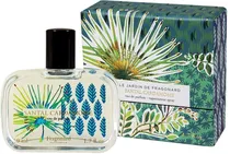 Perfume Fragonard Santal Cardamome Edp 50ML - Feminino