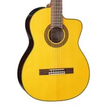 GC5CE NT Takamine