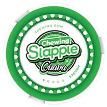 Chiclete Goma Mastigável Chewing Slapple 2MG com 40 Unidades - Guava