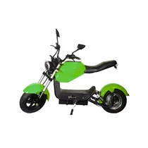 Moto Eletrica Iz Y21-60V/12AH-2000W-Green