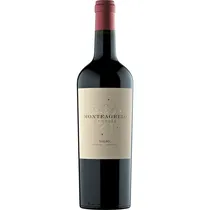 Gran Enemigo Vino Agrelo Cabernet Franc 750ML
