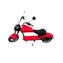 Moto Eletrica Iz Y3-60V/12AH-1500W-Red