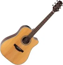 Takamine GD20CE NS