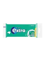 Wrigleys Extra Chicle Eucalyptus s/free 98GR