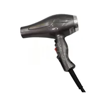 Secador Lizze Supreme 220V Prata