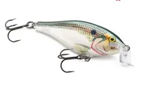 Rapala Señuelo Isca Shallow Shad Rap SSR-09-SF Seda 9CM 12G Media Agua SFC
