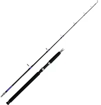 Vara Century Betara BTR-2002 2.00M 15-30LB 2 Partes (Molinete)