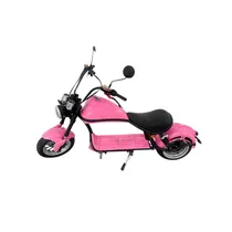 Moto Eletrica Iz Y3-60V/12AH-1500W-Pink