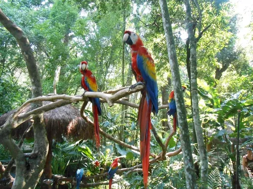 Parque das Aves