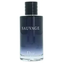 Perfume Dior Sauvage Eau de Toilette 100ML