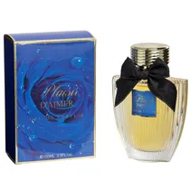 Perfume Femenino Linn Young Plaisir D'Aimer Edp 100ML