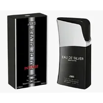 Iscents Eau de Silver Intense Pour Homme Edt 100ML