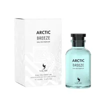 Perfume Unisex Volaré Arctic Breeze Edp 100ML
