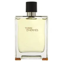 P.Hermes Terre D Hermes M 100ML Edt