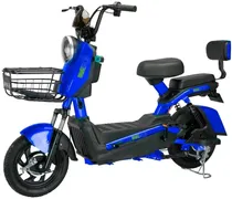 Moto Elétrica Smart Wheel SW-001 48V 20AH 500W 32KM/H Azul