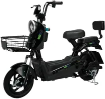 Moto Elétrica Smart Wheel SW-001 48V 20AH 500W 32KM/H Preto