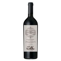 Vino El Gran Enemigo Cabernet Franc Gualtallary Tinto 750ML