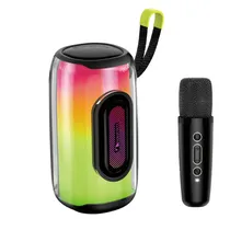 Caixa de Som Nakamichi Blosson com Microfone