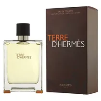 Perfume Hermes Terre D’Hermes Eau de Toilette Masculino 100ML