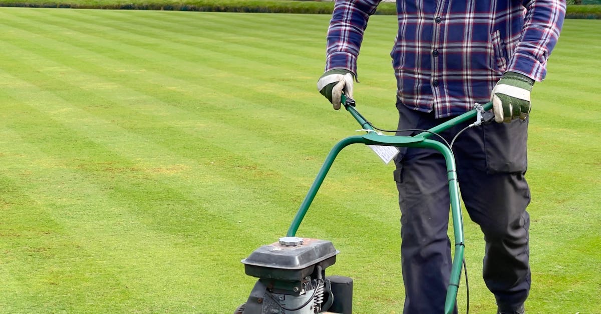 Mesa's Lawn Care Solutions