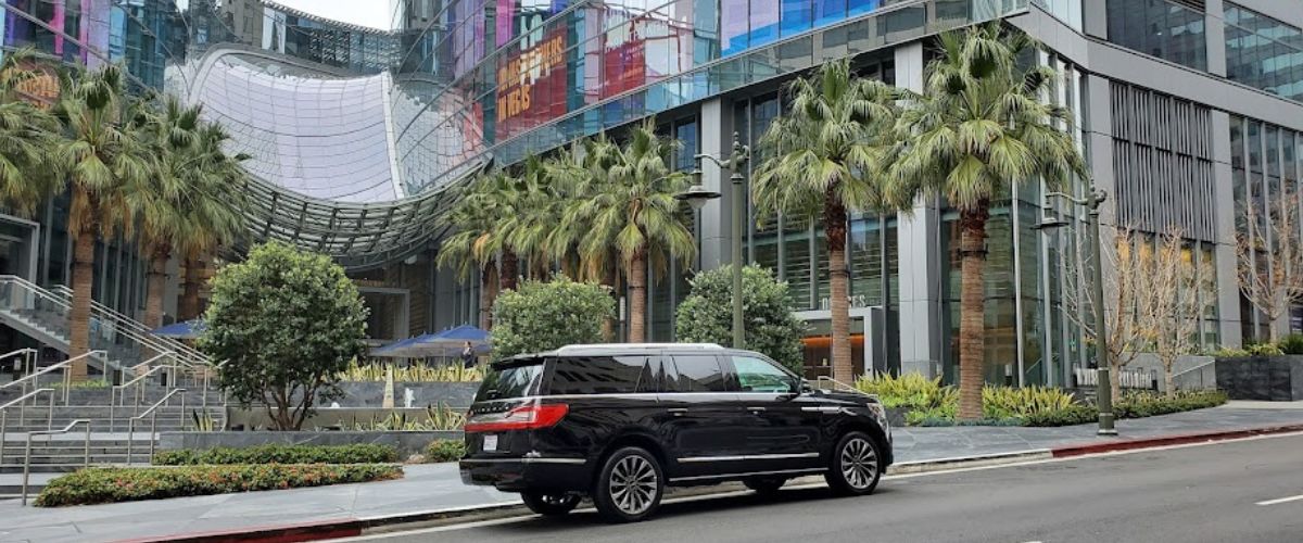 Car Service Executive