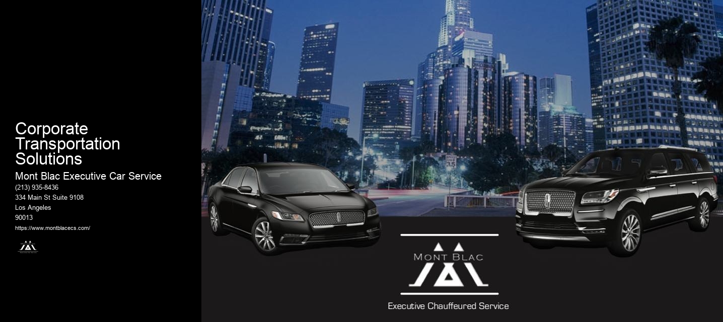 Corporate Transportation Solutions