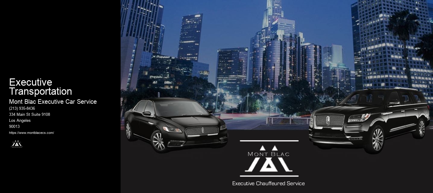Executive Transportation