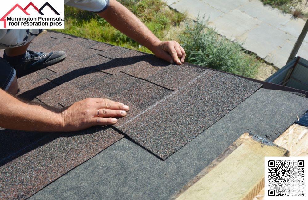 Affordable Roof Painting for All Styles