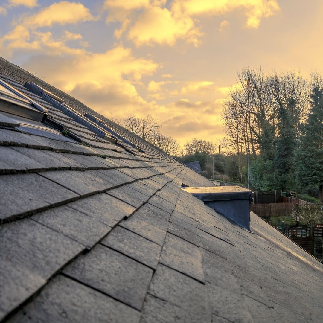 Do you provide roof washing services?