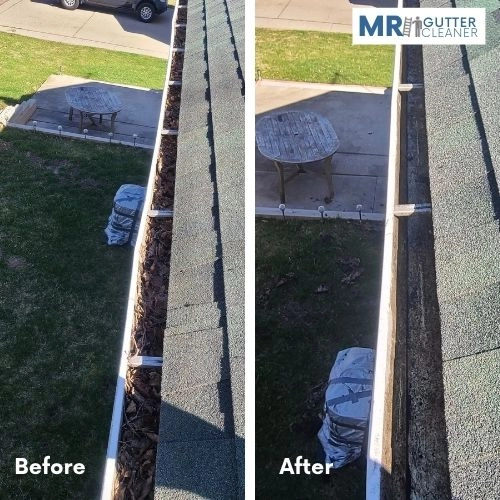 gutter cleaner near me