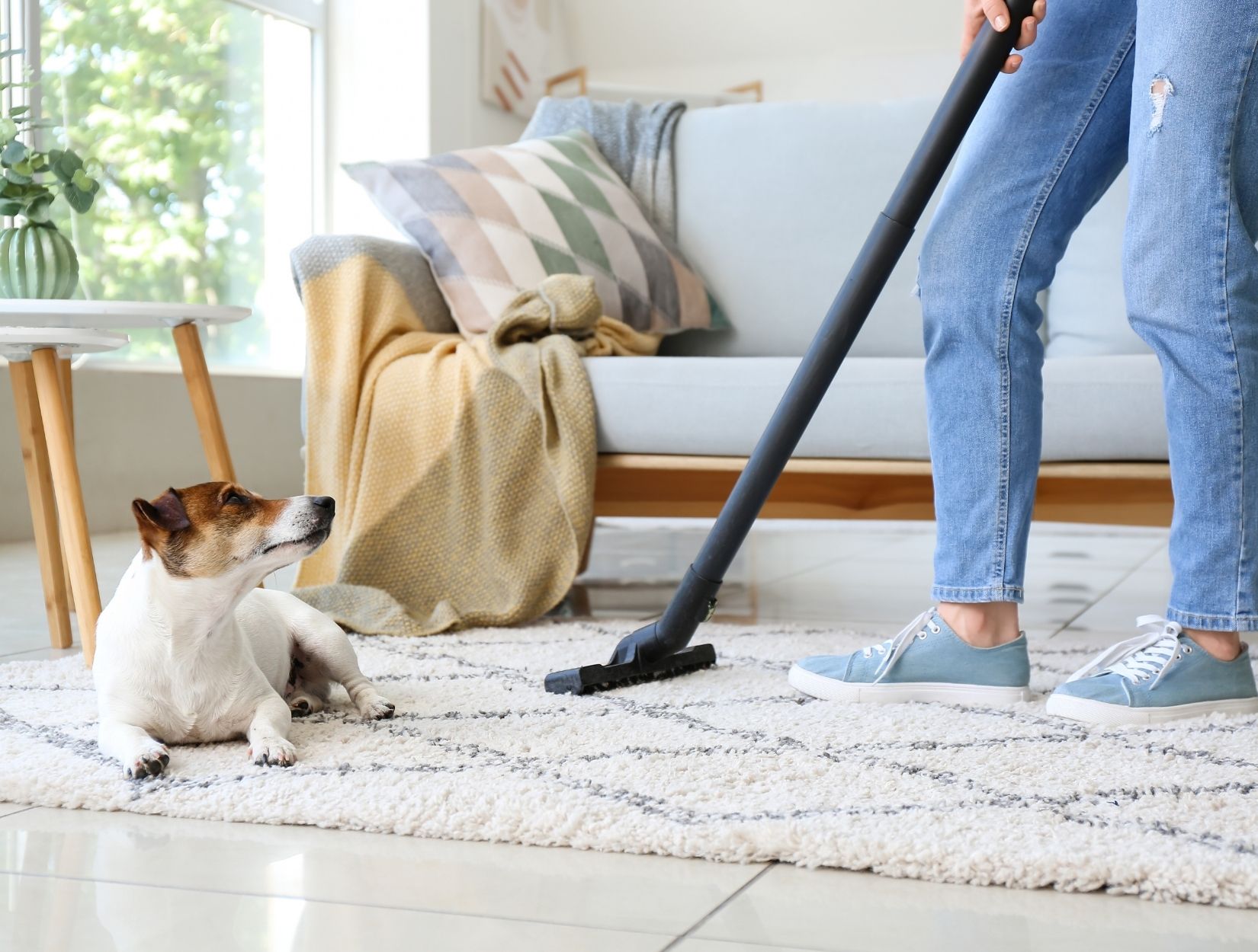 Trusted Home Care Cleaning