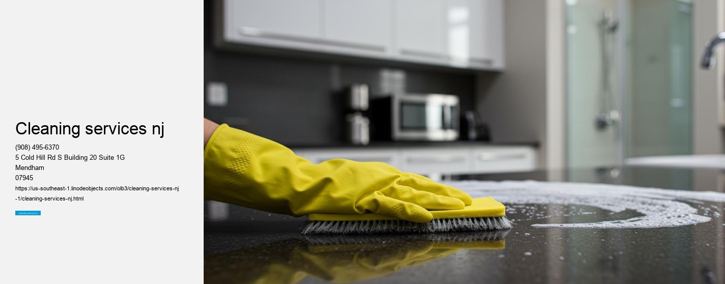 cleaning services nj