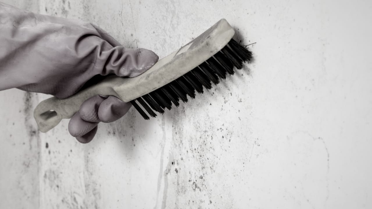 Wie lost lekkage op?