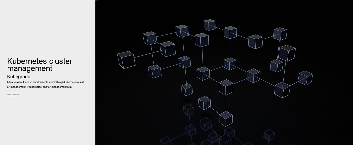 Kubernetes cluster management