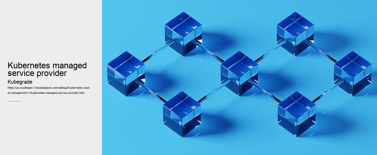 kubernetes managed service provider