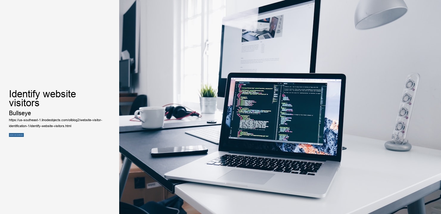 identify website visitors