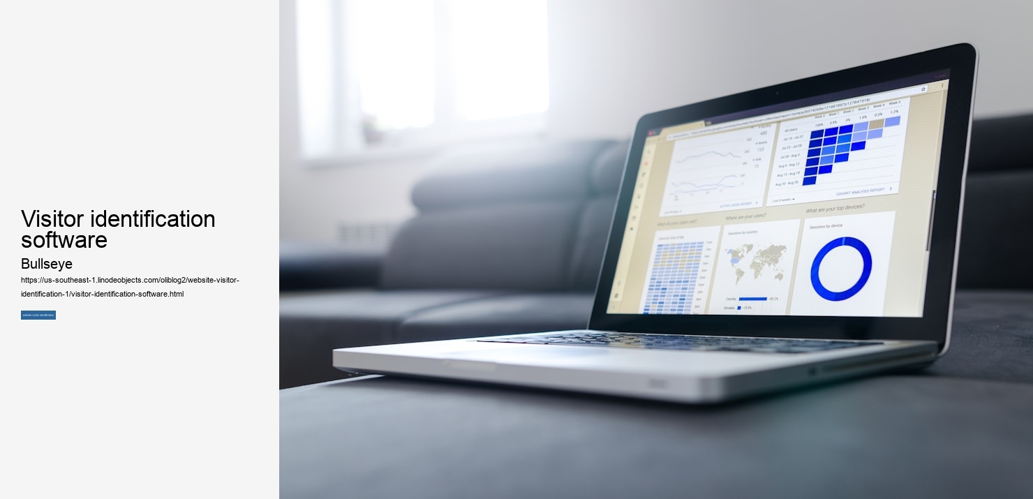 visitor identification software