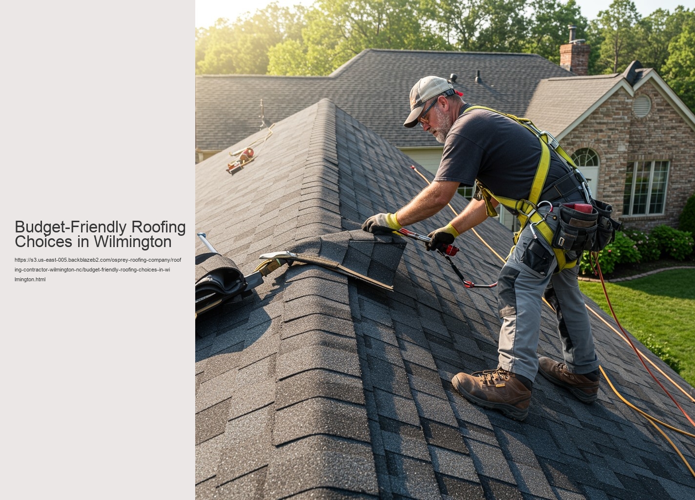Budget-Friendly Roofing Choices in Wilmington