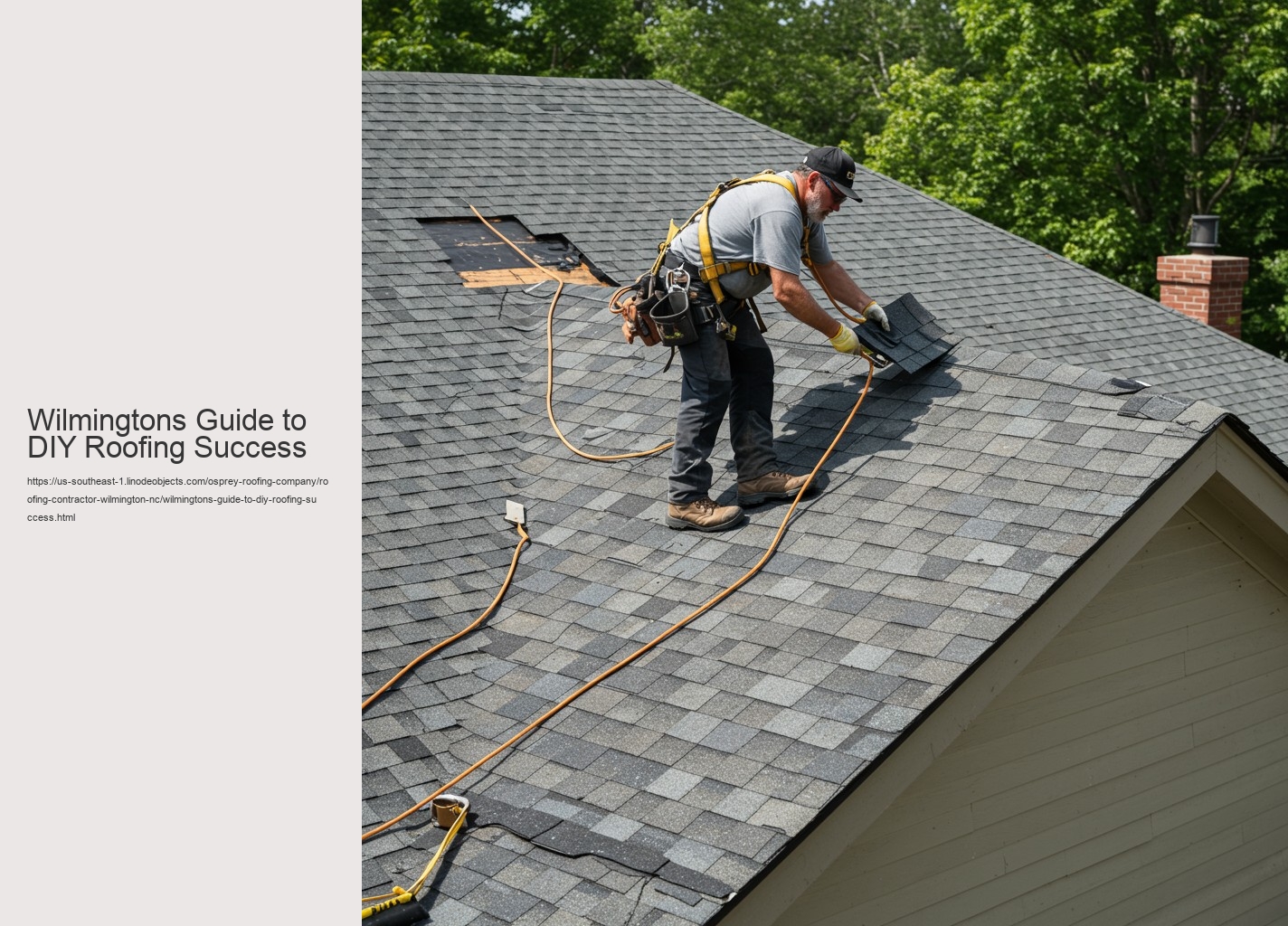 Wilmingtons Guide to DIY Roofing Success