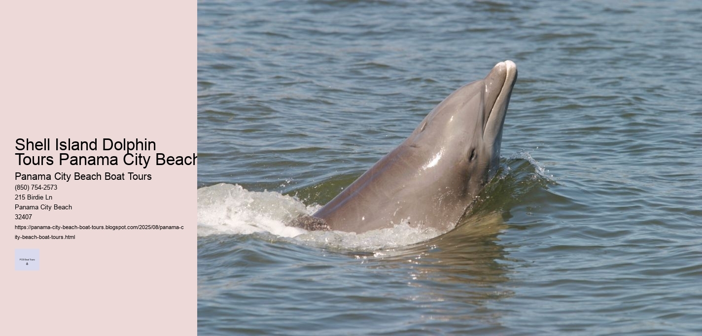 Shell Island Dolphin Tours Panama City Beach