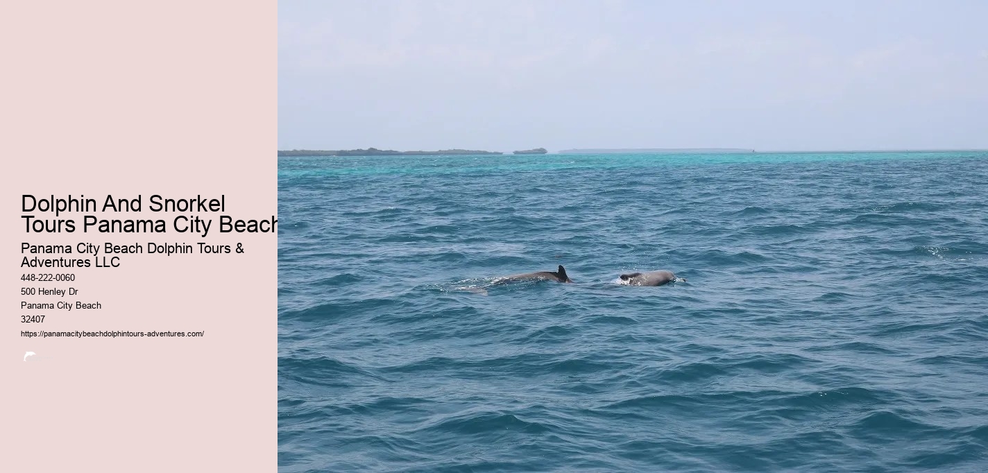 Panama City Beach Dolphin Tour With Snorkeling