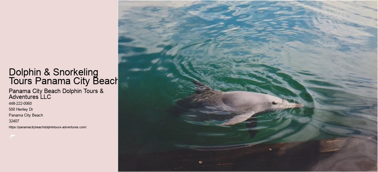 Dolphin & Snorkeling Tours Panama City Beach