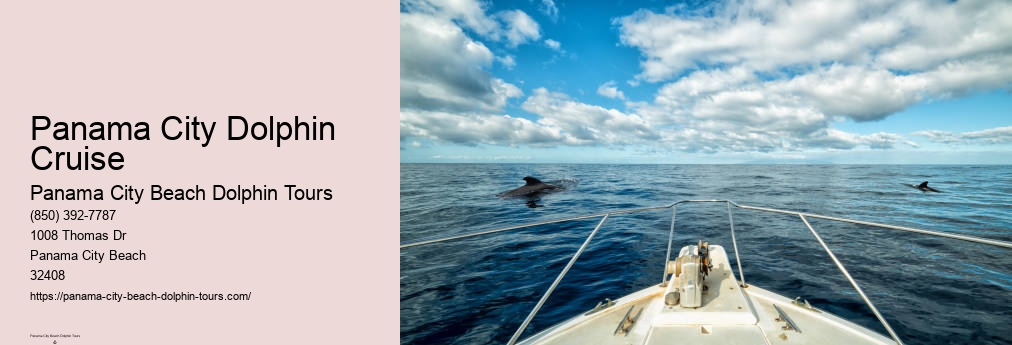 Panama City Dolphin Cruise