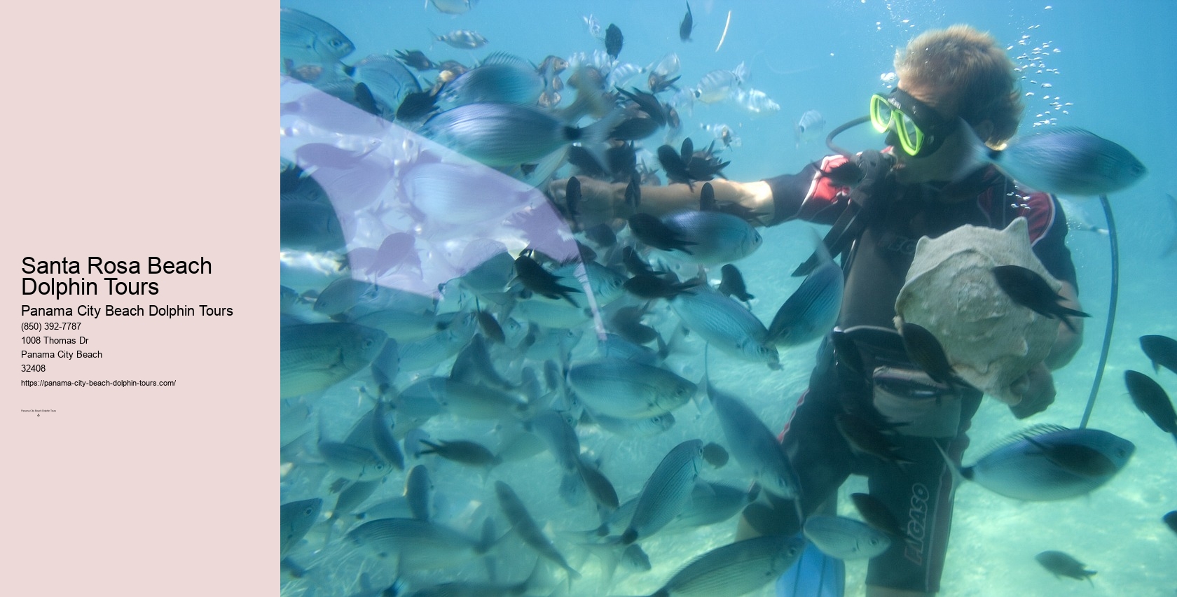 Boat Tours Panama City Beach