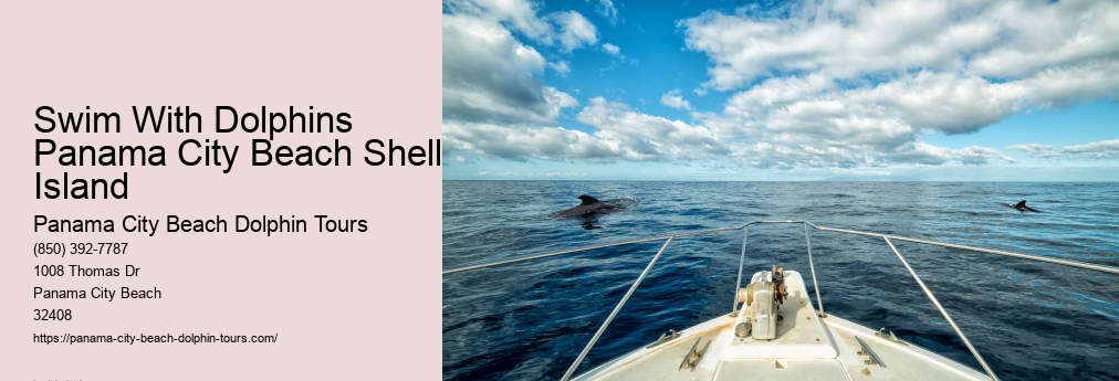 Panama City Beach Dolphin And Snorkeling