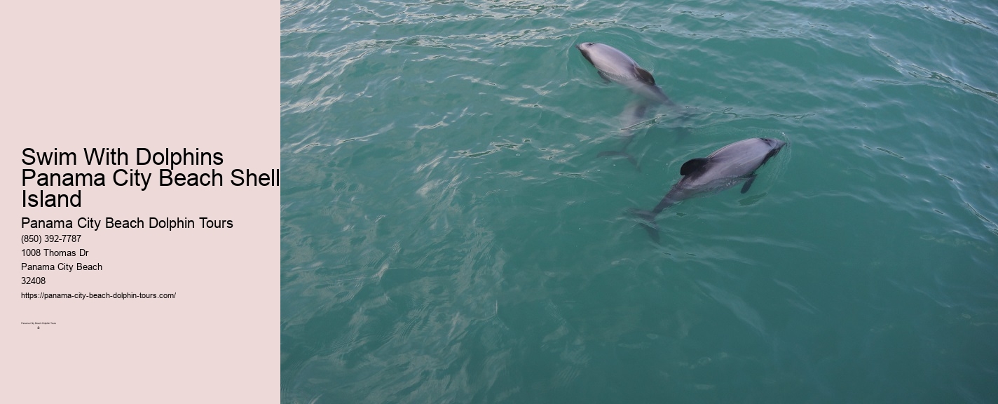 Panama City Beach Florida Dolphin Tours