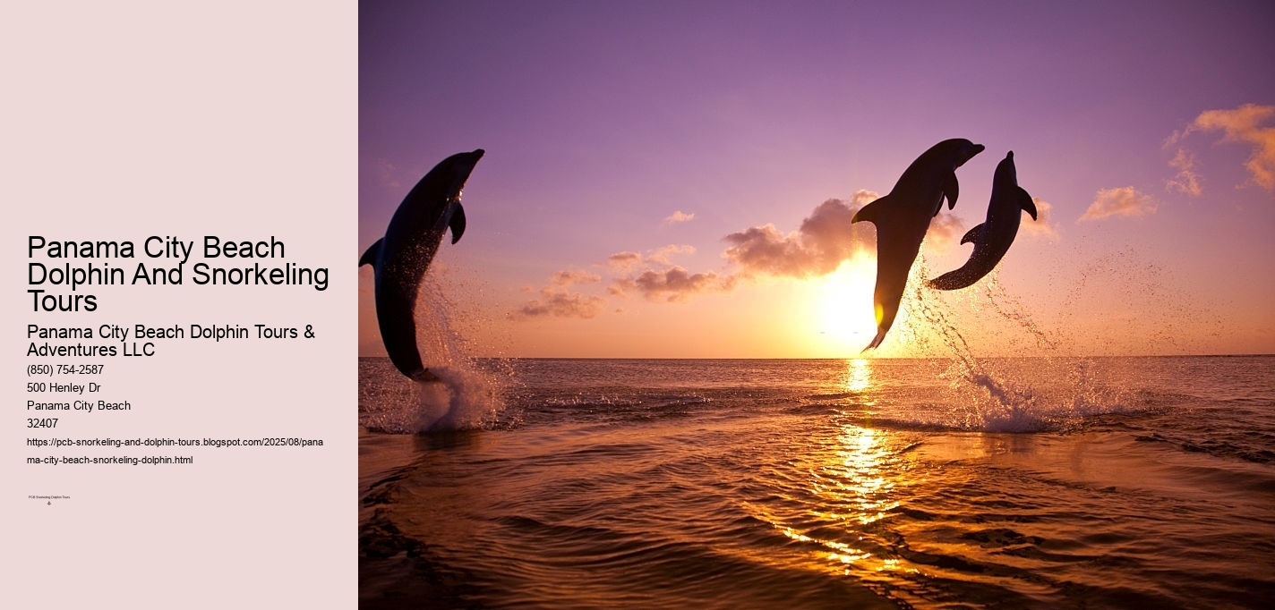 Panama City Beach Dolphin And Snorkeling Tours